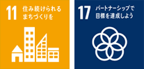 SDgs11-17